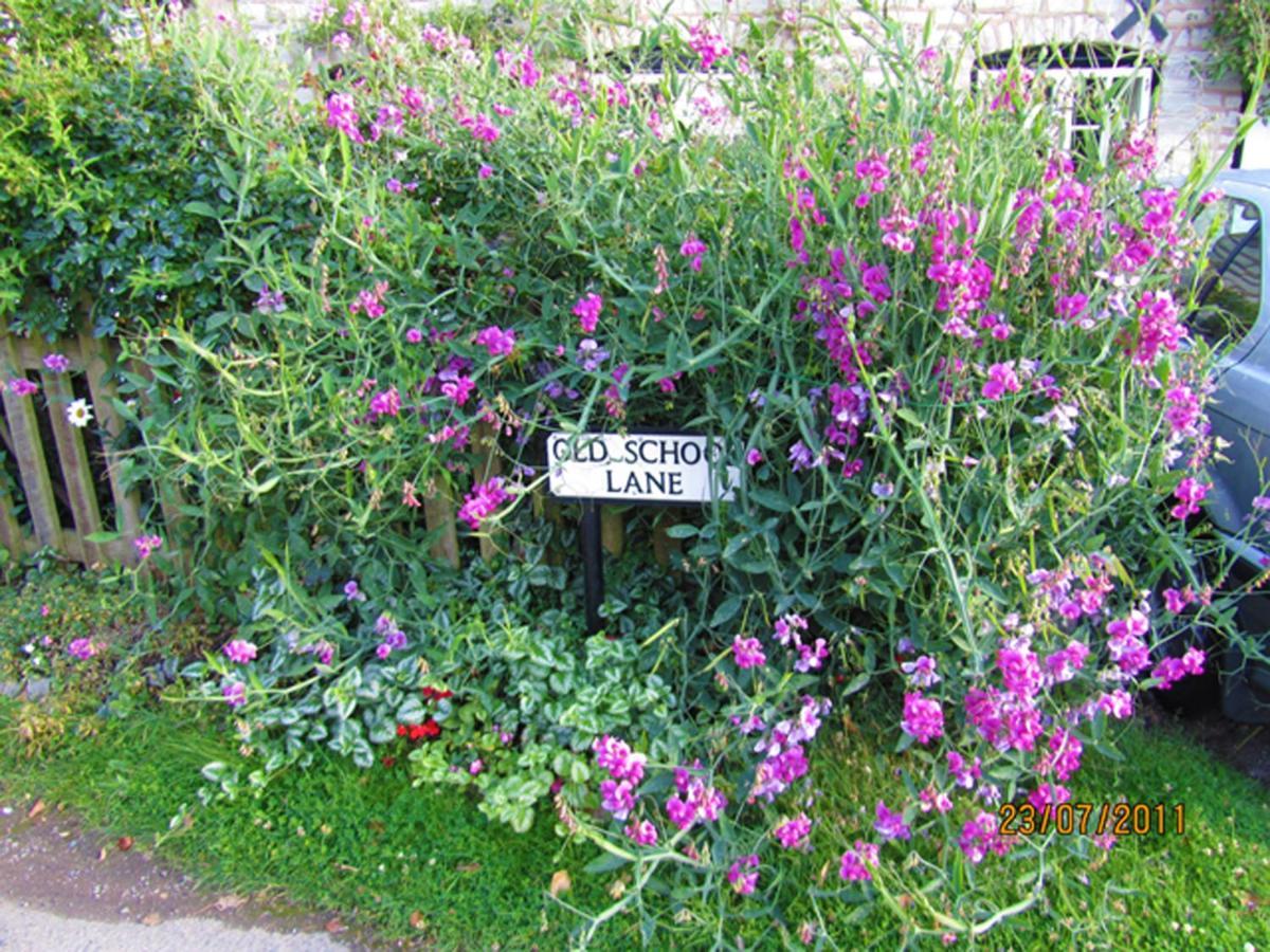 Harpe Cottage Wilmcote Esterno foto